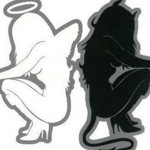 Meet your Posher, Rose anne